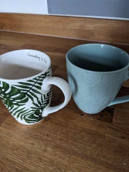 Photo of free Botanical mugs x2 (Port Sunlight CH62) #1