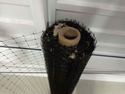 Photo of free Netting (TN25) #3