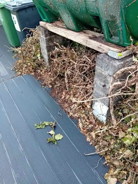 Photo of free Green waste for compost (Firhouse) #1