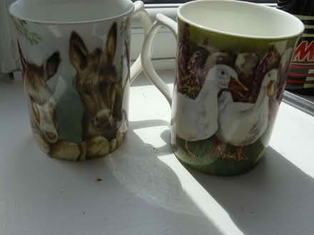Photo of free 2 x mugs (1 donkey design & 1 goose design) (Kempsey WR5) #1
