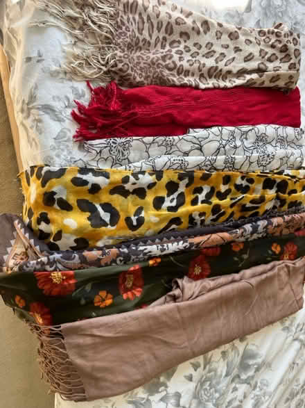 Photo of free 6 assorted scarves 1 pashmina (Keighley) #1