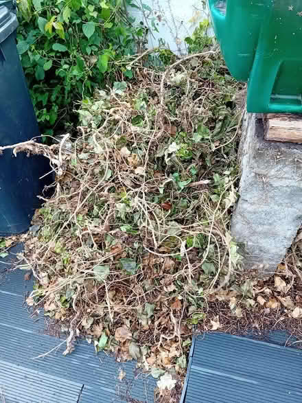 Photo of free Green waste for compost (Firhouse) #2