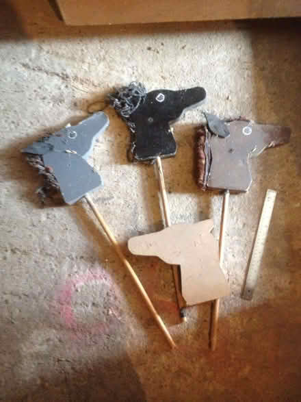 Photo of free hobby horses (Quinton B32) #1