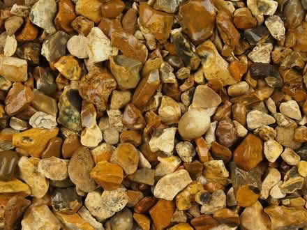 Photo of GOLDEN GRAVEL for Pixies Wildlife Rescue (Blackpool FY1) #1