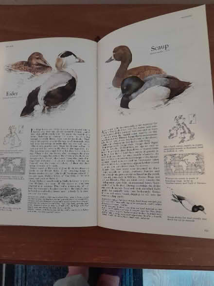 Photo of free Bird book (wantage Oxfordshire OX12) #2