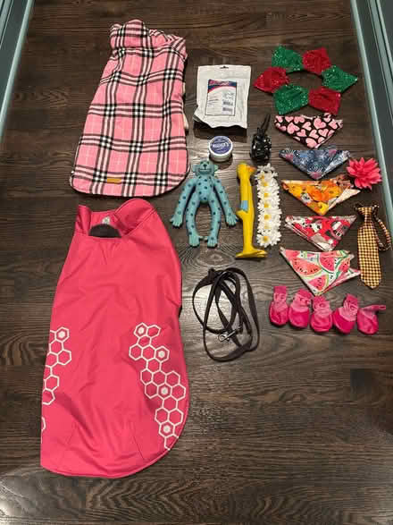 Photo of free Dog Items (Andersonville) #1