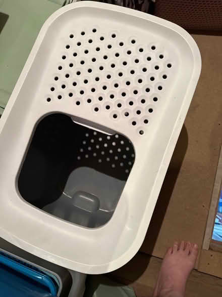 Photo of free Large cat litter tray (Ashford TW15) #2