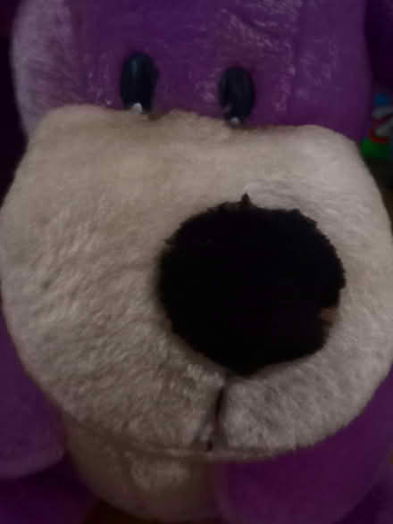 Photo of free Selection of teddy bears (CB4) #2