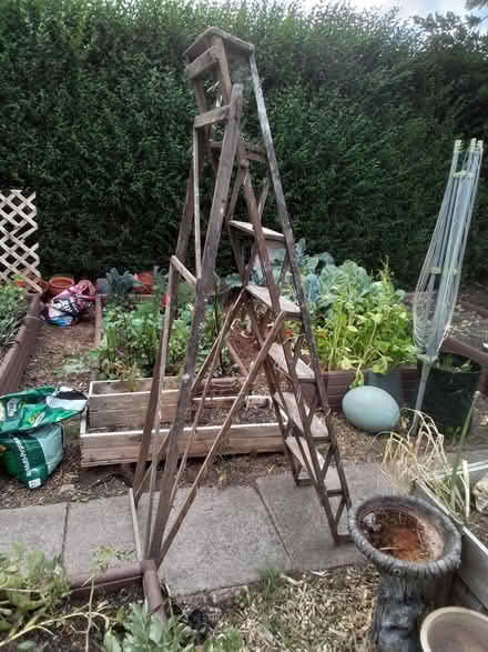 Photo of free Wooden step ladder (Grenoside S35) #1