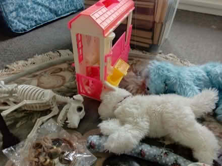 Photo of free Toys etc (Pollokshaws G43) #2
