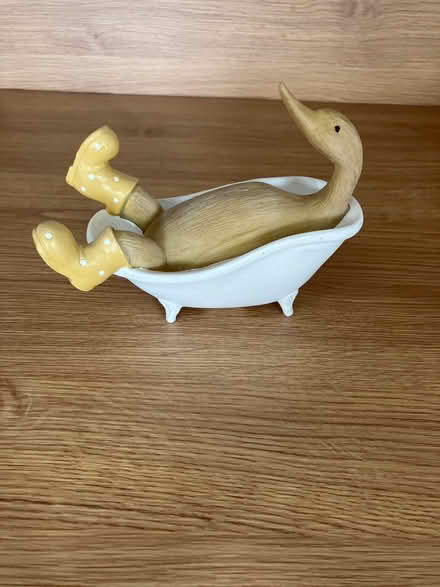 Photo of free Duck ornament (Aston CH5) #1