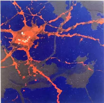 Photo of free Art: Orange cell on blue (North side of Elmhurst) #1