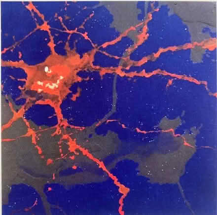 Photo of free Art: Orange cell on blue (North side of Elmhurst) #1