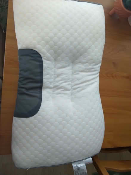 Photo of free Pillow (DA1) #2