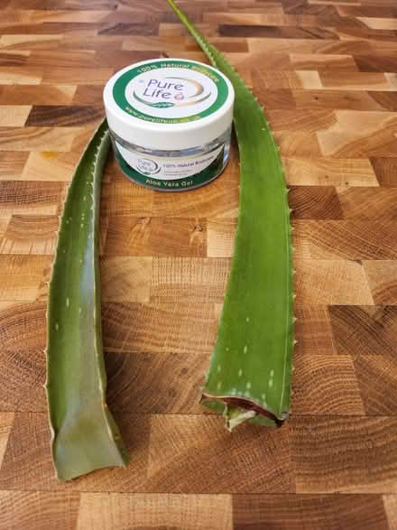 Photo of free Unopened 100ml Aloe Vera Gel plus 2 Leaves / Stems (Walsall WS1) #1