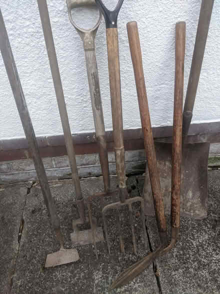 Photo of free Old gardening tools (Knotty Ash L12) #1