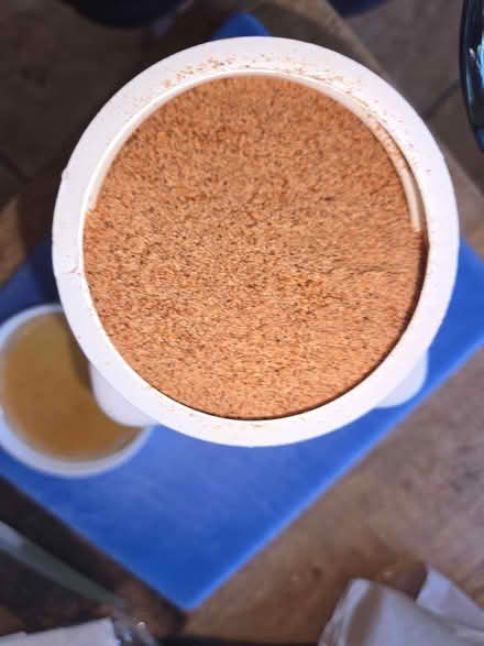Photo of free BbQ Dry Rub (NE Heights- JT & Montgomery) #2