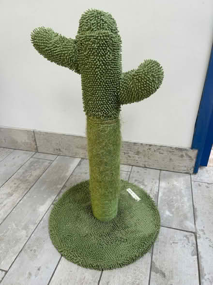 Photo of free Cat scratching post (cactus shape) and cat grooming comb (Norton LD8) #2