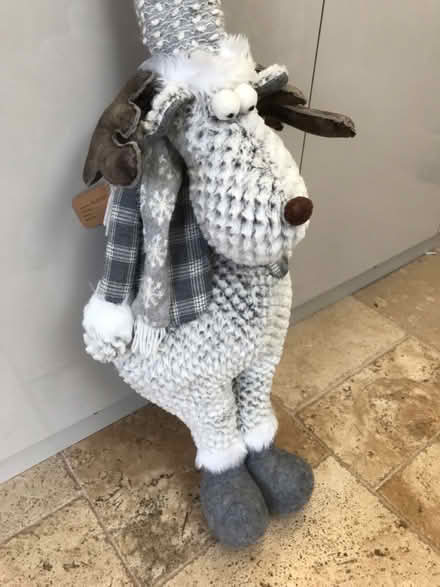 Photo of free Xmas reindeer (Hp18) #2