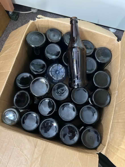 Photo of free Homebrew beer bottles, clean, brown (auchterarder PH3) #1