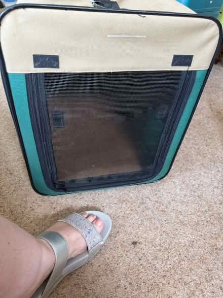 Photo of free Cat carriers (BH8 Bournemouth) #4