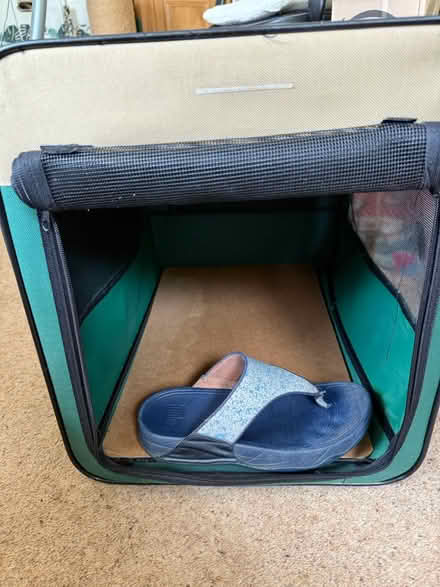 Photo of free Cat carriers (BH8 Bournemouth) #3