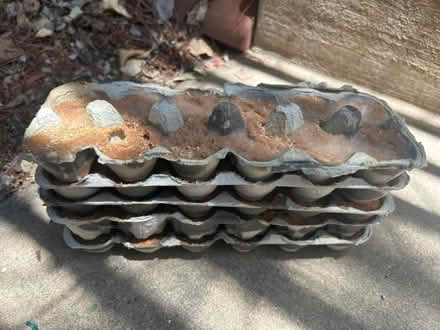 Photo of free Homemade fire starters (Walnut Creek) #1
