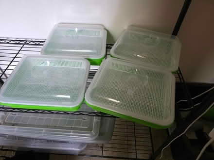 Photo of free Sprouting trays (Central District/Madrona) #1