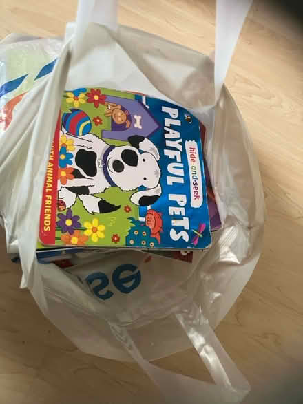 Photo of free Bag of kids books (Comber) #1