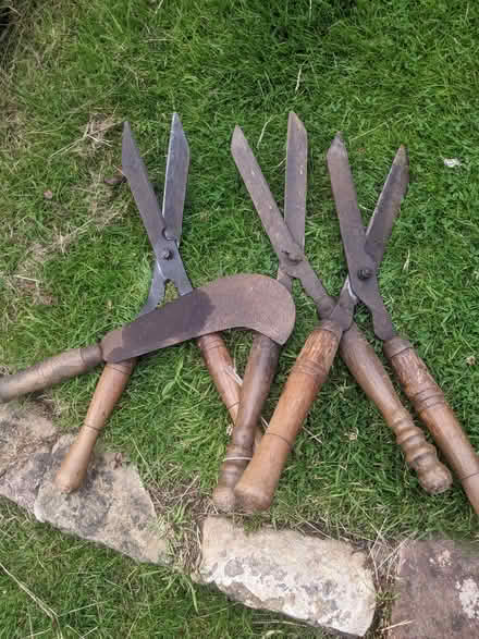 Photo of free Vintage shears (Knotty Ash L12) #1