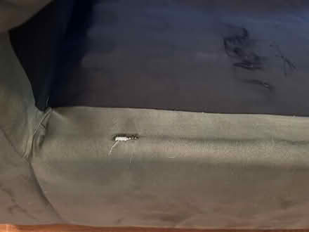 Photo of free loveseat couch #3