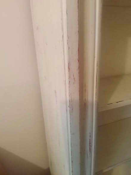 Photo of free Tall Shabby Chic bookcase (Necton PE37) #3
