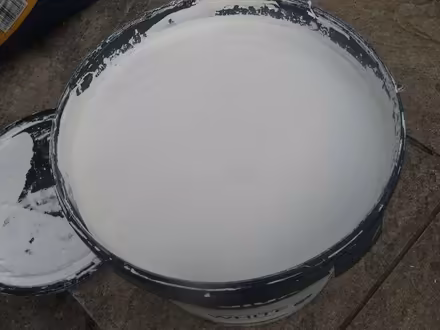 Photo of free Dulux brilliant white silk emulsion paint (Deganwy LL31) #1