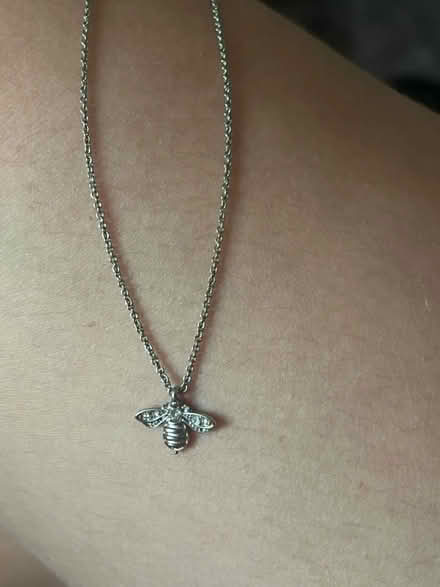 Photo of free Silver bee necklace (Stanway, CO3) #1