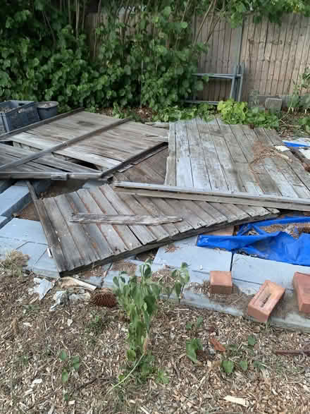 Photo of free old shed timber 3 'sheets' sides of shed one with window' (Willington MK44) #1