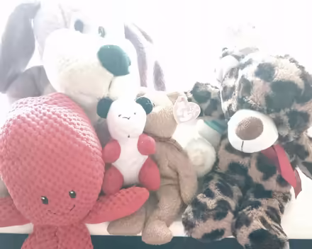 Photo of free Selection of teddy bears (CB4) #1