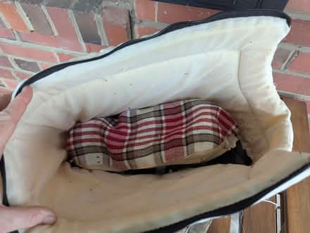 Photo of free Cat/dog carrier (Hyattsville) #1