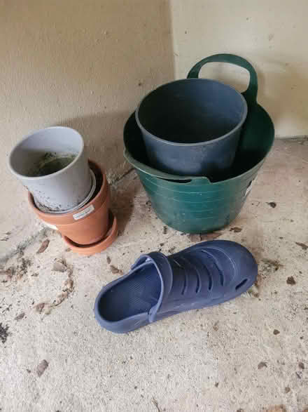 Photo of free Plantpots, mixed seeds (Crookes S10) #1