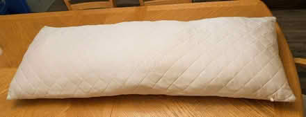 Photo of free Pink 4 ft body pillow - never used (Poughquag) #2