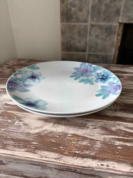 Photo of free 2 Dinner Plates (Bognor Regis PO21) #2
