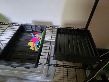 Photo of free Seed starting trays (Central District/Madrona) #1