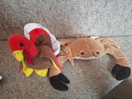 Photo of free Two cuddly toys, crab and turkey (Seaside BN22) #1