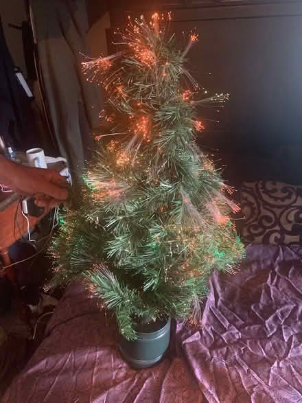 Photo of free Christmas bits (Harrietsham ME17) #4