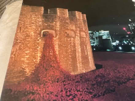 Photo of free Photo/print of Poppies at London (Letchworth wilbury) #3