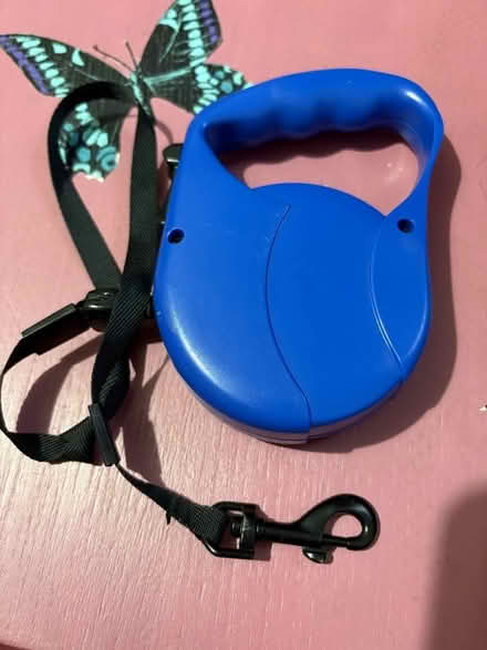 Photo of free Extending dog lead (Glenrothes KY7) #1