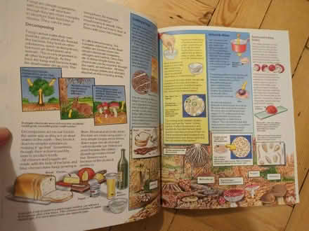 Photo of free Usborne Science Book (Enfield EN2) #2