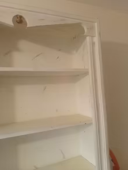 Photo of free Tall Shabby Chic bookcase (Necton PE37) #4