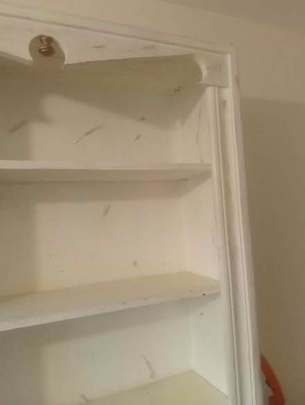 Photo of free Tall Shabby Chic bookcase (Necton PE37) #4