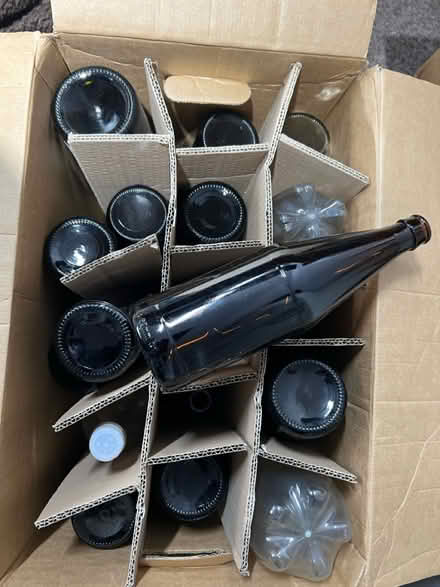Photo of free Homebrew beer bottles, clean, brown (auchterarder PH3) #2