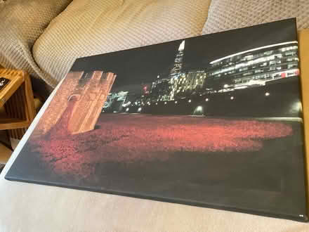 Photo of free Photo/print of Poppies at London (Letchworth wilbury) #1